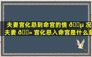 夫妻宫化忌到命宫的情 🐵 况,夫妻 🌻 宫化忌入命宫是什么意思